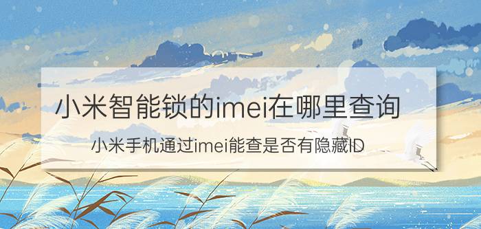 小米智能锁的imei在哪里查询 小米手机通过imei能查是否有隐藏ID？